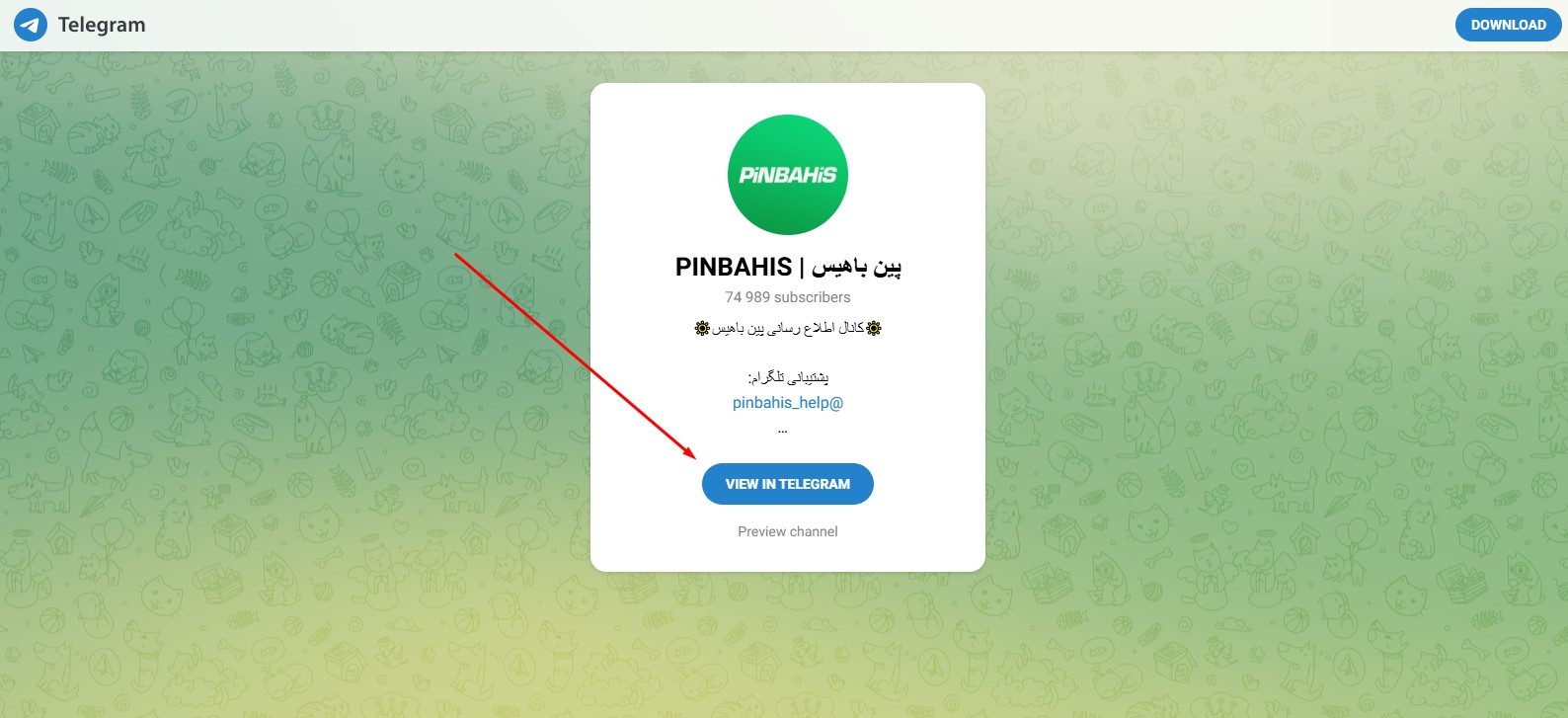 کانال تلگرامی پین باهیس